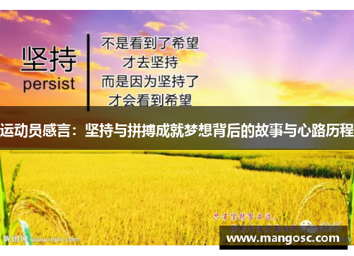 运动员感言：坚持与拼搏成就梦想背后的故事与心路历程